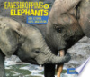 Eavesdropping_on_elephants