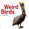 Weird_birds