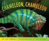 Chameleon_chameleon