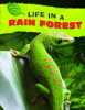 Life_in_a_rain_forest