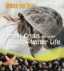 Hermit_crabs_and_other_shallow-water_life