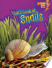 Let_s_Look_at_snails