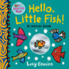 Hello__Little_Fish___A_Mirror_Book