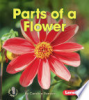 Parts_of_a_flower