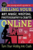 The_young_adult_s_guide_to_selling_your_art__music__writing__photography____crafts_online