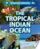 The_tropical_Indian_ocean