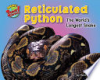 Reticulated_python