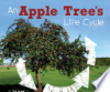An_apple_tree_s_life_cycle