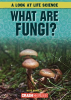 What_Are_Fungi_