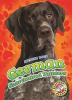 German_Shorthaired_Pointers