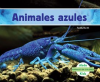 Animales_azules__Blue_Animals_