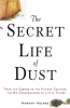 The_Secret_Life_of_Dust