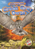 Great_Gray_Owls