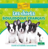 Les_chiots_bouledogue_fran__ais