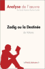 Zadig_ou_la_Destin__e_de_Voltaire__Analyse_de_l_oeuvre_
