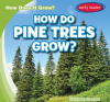 How_Do_Pine_Trees_Grow_