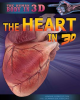 The_Heart_in_3D