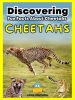 Cheetahs__Fun_Facts_About_Cheetahs