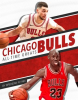 Chicago_Bulls_All-Time_Greats
