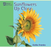 Sunflowers_Up_Close