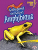 Endangered_and_Extinct_Amphibians