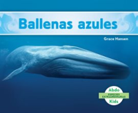 Ballenas_azules__Blue_Whales__