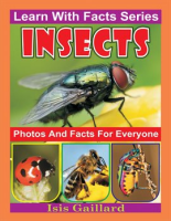 Insects_Photos_and_Facts_for_Everyone