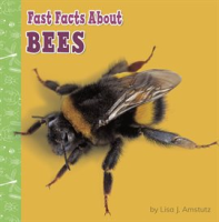 Fast_Facts_About_Bees