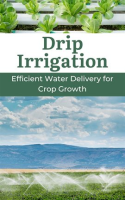 Drip_Irrigation__Efficient_Water_Delivery_for_Crop_Growth