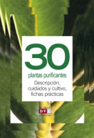 30_plantas_purificantes