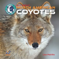 All_About_North_American_Coyotes