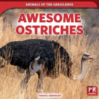 Awesome_Ostriches
