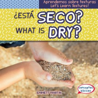 __Est___seco____What_Is_Dry_