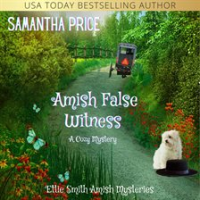 Amish_False_Witness
