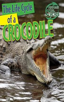 The_Life_Cycle_of_a_Crocodile