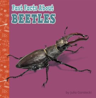 Fast_Facts_About_Beetles