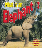 What_is_an_Elephant_