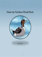 Galon_the_Northern_Pintail_Duck