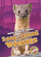 Long-tailed_Weasels