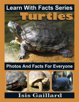 Turtles_Photos_and_Facts_for_Everyone