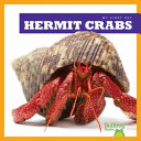Hermit_crabs