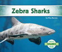 Zebra_Sharks