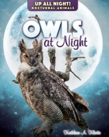Owls_at_Night