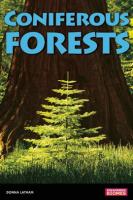 Coniferous_Forests