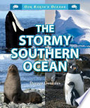 The_stormy_southern_ocean