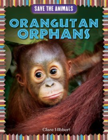 Orangutan_Orphans
