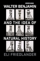 Walter_Benjamin_and_the_Idea_of_Natural_History