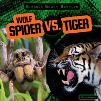 Wolf_Spider_vs__Tiger