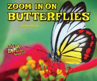 Zoom_in_on_Butterflies