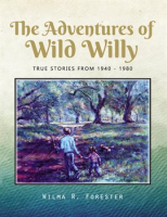 The_Adventures_of_Wild_Willy
